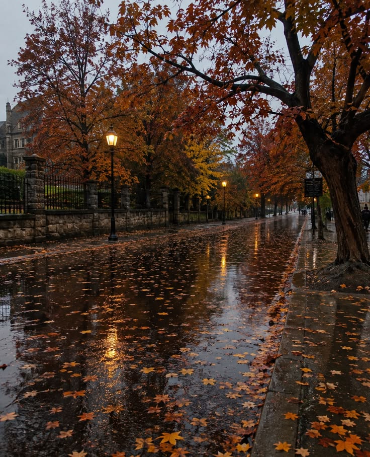 Falling For Fall