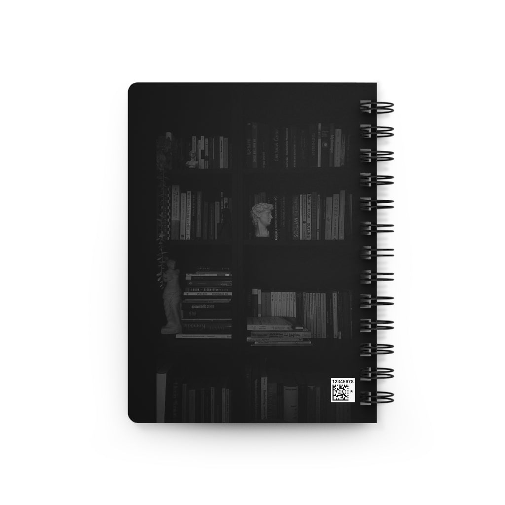 Dark Bookcases but Bright Ideas