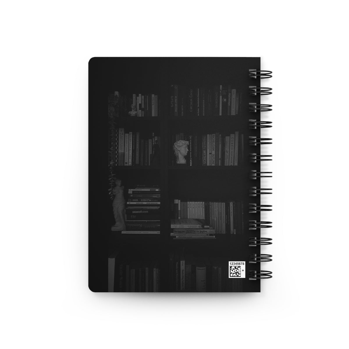 Dark Bookcases but Bright Ideas