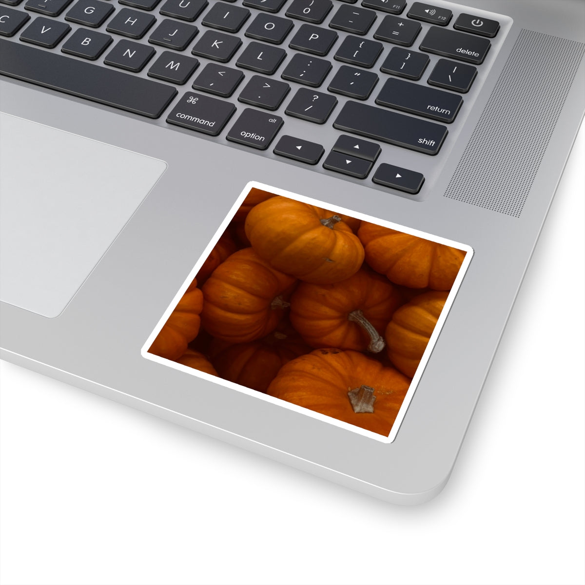 Pumpkin Patch Sticker — Autumn Halloween Fall Decor Kiss-Cut Sticker