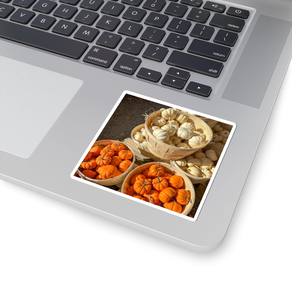 Pumpkin Harvest Sticker