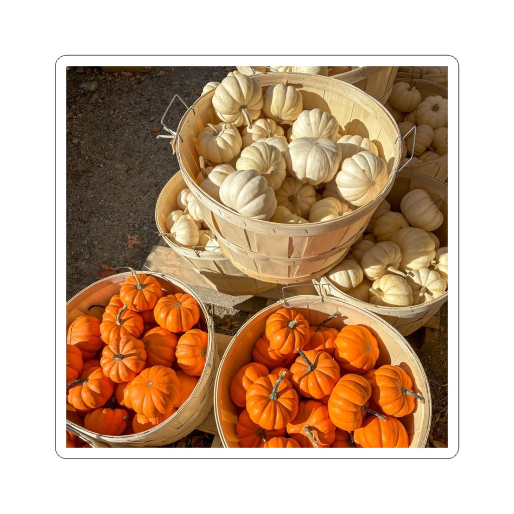 Pumpkin Harvest Sticker