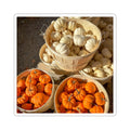 Pumpkin Harvest Sticker