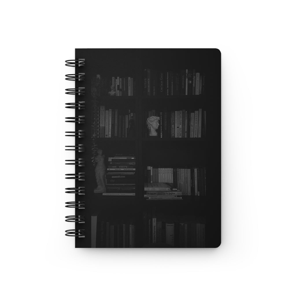 Dark Bookcases but Bright Ideas